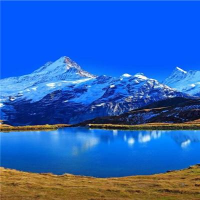 天博tb·体育综合下载手机版